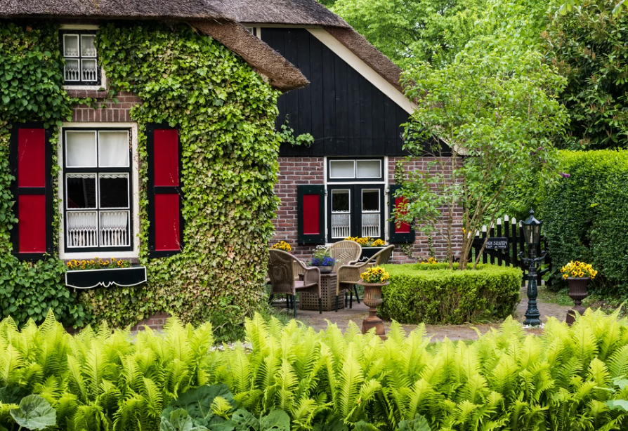 Navigating New Horizons: Starting a Business and Finding a Home in the Netherlands