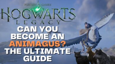 Can You Become an Animagus in Hogwarts Legacy